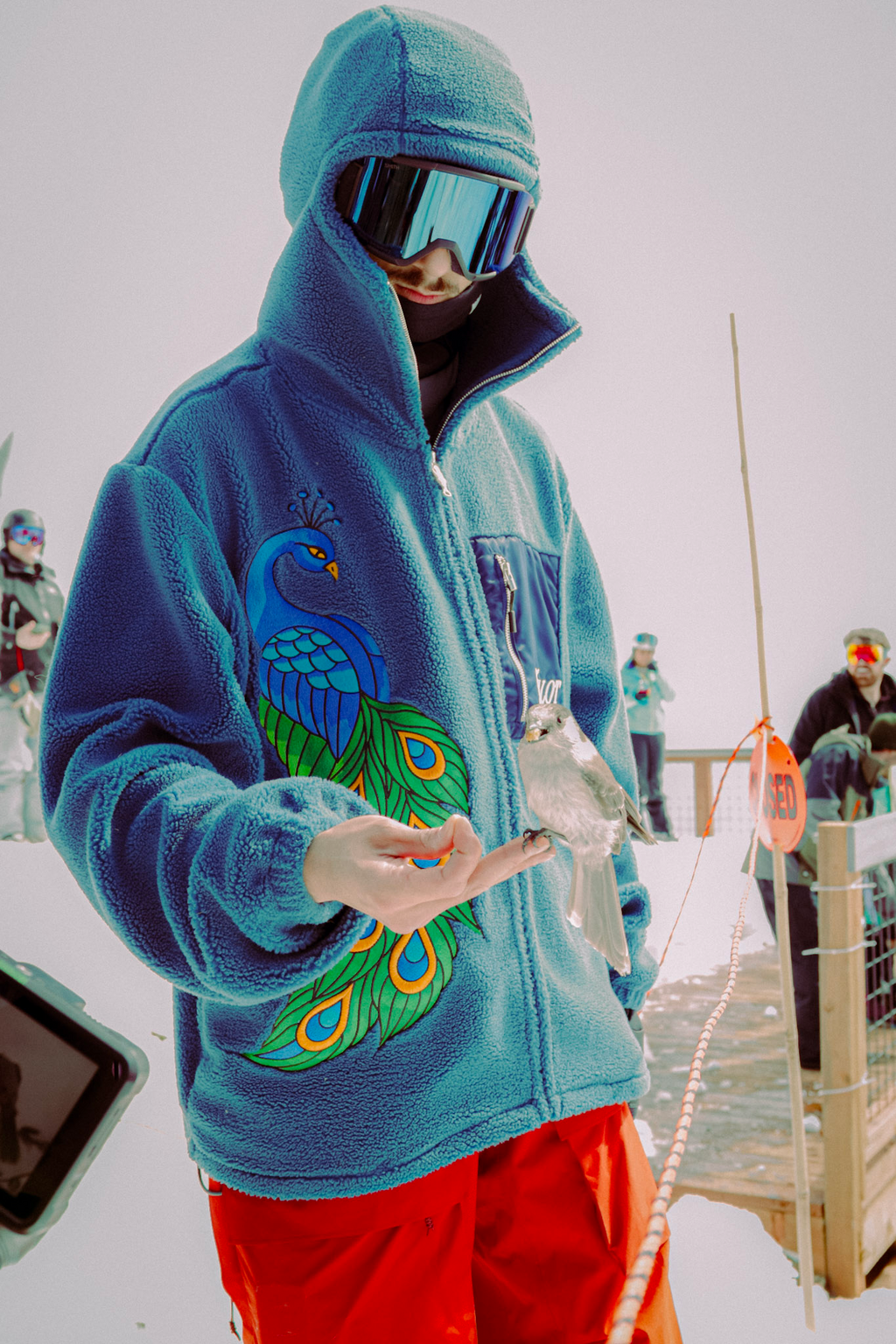 Peacock Sherpa
